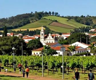 8 passeios imperdíveis em Caxias do Sul: descubra as melhores opções