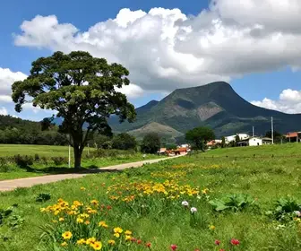 Caxias do Sul: Descubra a Magia da Primavera na Serra Gaúcha Caxias do Sul: Descubra a Magia da Primavera na Serra Gaúcha