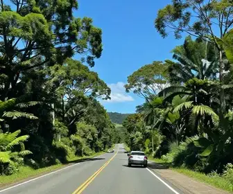 Como Chegar ao Aeroporto Regional Hugo Cantergiani em Caxias do Sul