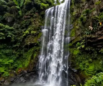 Descubra a Cascata dos Molin: Um Paraíso Natural em Caxias do Sul