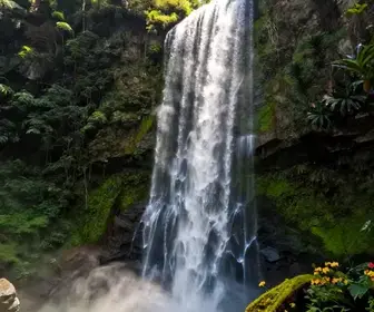 Descubra a Cascata Santa Bárbara: Um Paraíso Natural em Caxias do Sul