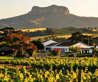 Descubra a Melhor Época para Visitar Caxias do Sul