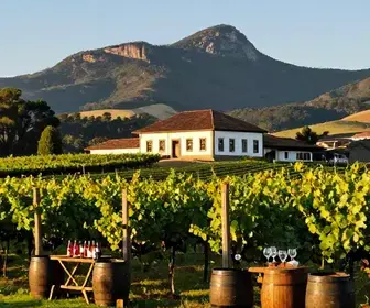Descubra a Vinícola Dom Dionysius em Caxias do Sul: Um Tesouro do Vinho Brasileiro