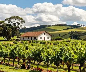 Descubra a Vinícola Granja do Vale em Caxias do Sul