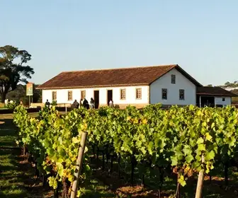 Descubra a Vinícola Quinta Don Bonifácio em Caxias do Sul