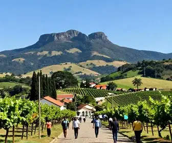 Descubra as Melhores Agências de Turismo em Caxias do Sul