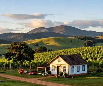 Descubra as Melhores Propriedades Rurais para Visitar em Caxias do Sul Descubra as Melhores Propriedades Rurais para Visitar em Caxias do Sul