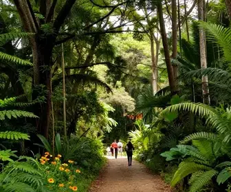 Descubra as Melhores Trilhas Ecológicas em Caxias do Sul Descubra as Melhores Trilhas Ecológicas em Caxias do Sul