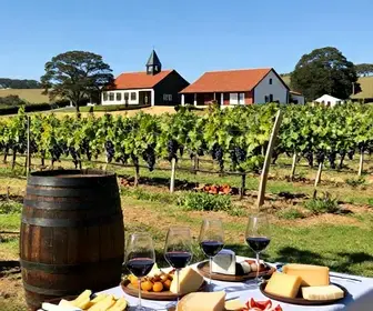 Descubra o Enoturismo em Caxias do Sul: Uma Experiência Inesquecível