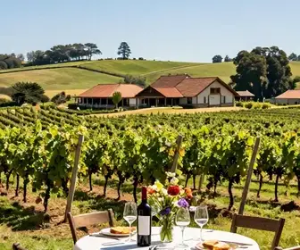 Descubra o Roteiro de Vinhos em Caxias do Sul