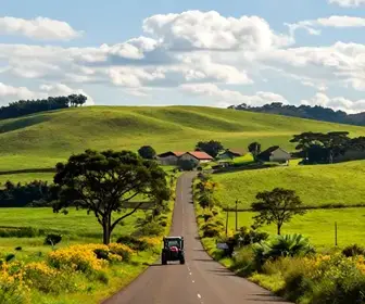 Explorando o Roteiro Rural pela Linha 40 em Caxias do Sul