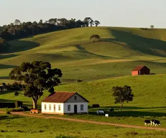 Explore o Roteiro Rural de Fazenda Souza em Caxias do Sul