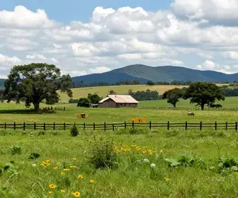 Fazenda Souza: Um Destino Imperdível em Caxias do Sul