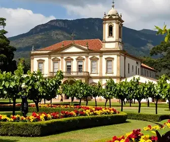 Museu da Festa da Uva: Um Patrimônio Cultural em Caxias do Sul